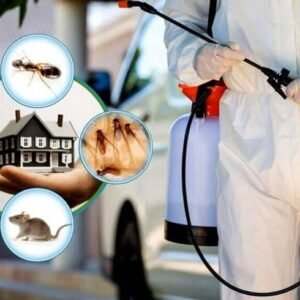 pest control services