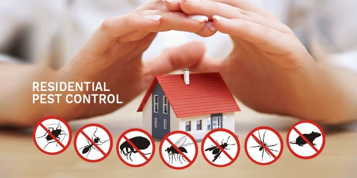pest control services
