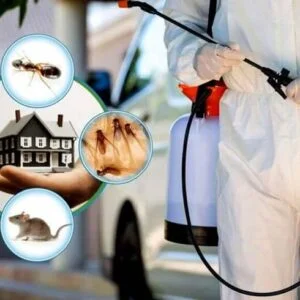 pest control services